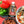 TEST PRODUCT